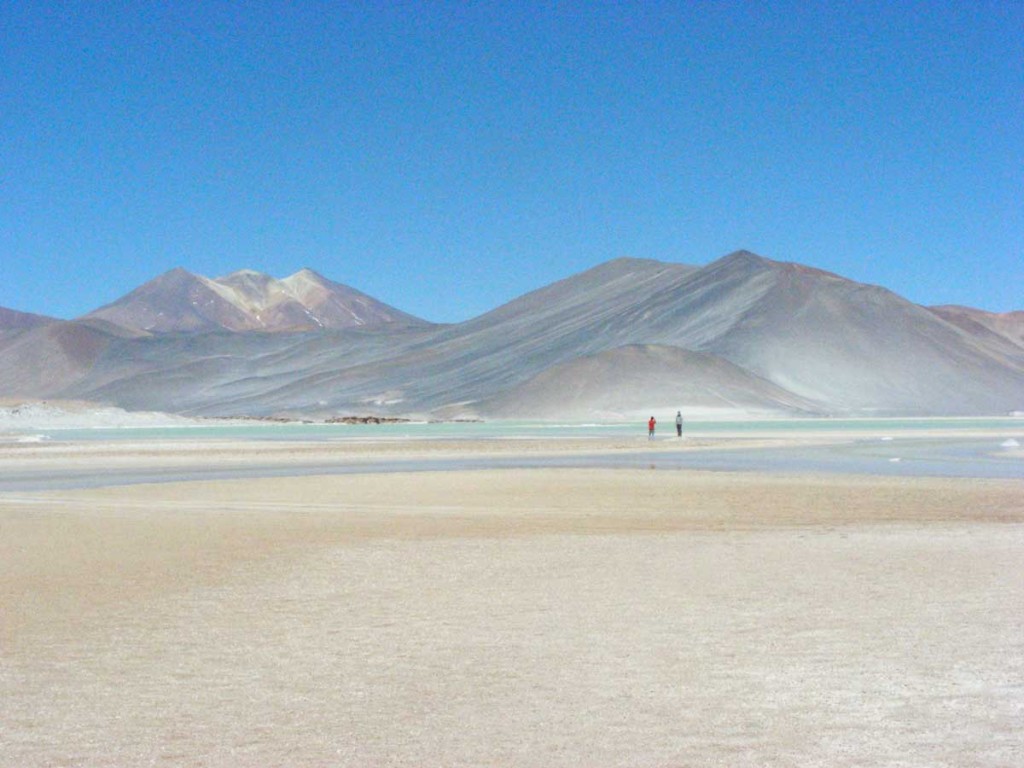 The Salar de Talar, on the east side of the Atacama