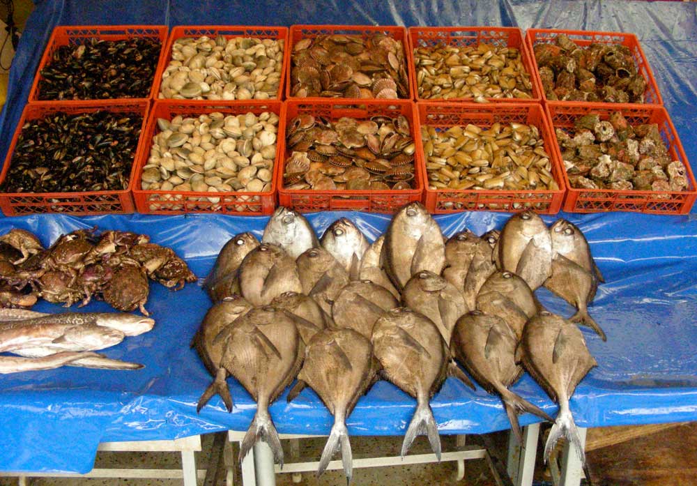 Machas (fourth from left in the baskets), black congers (heads on left) and Reinetas (foreground)