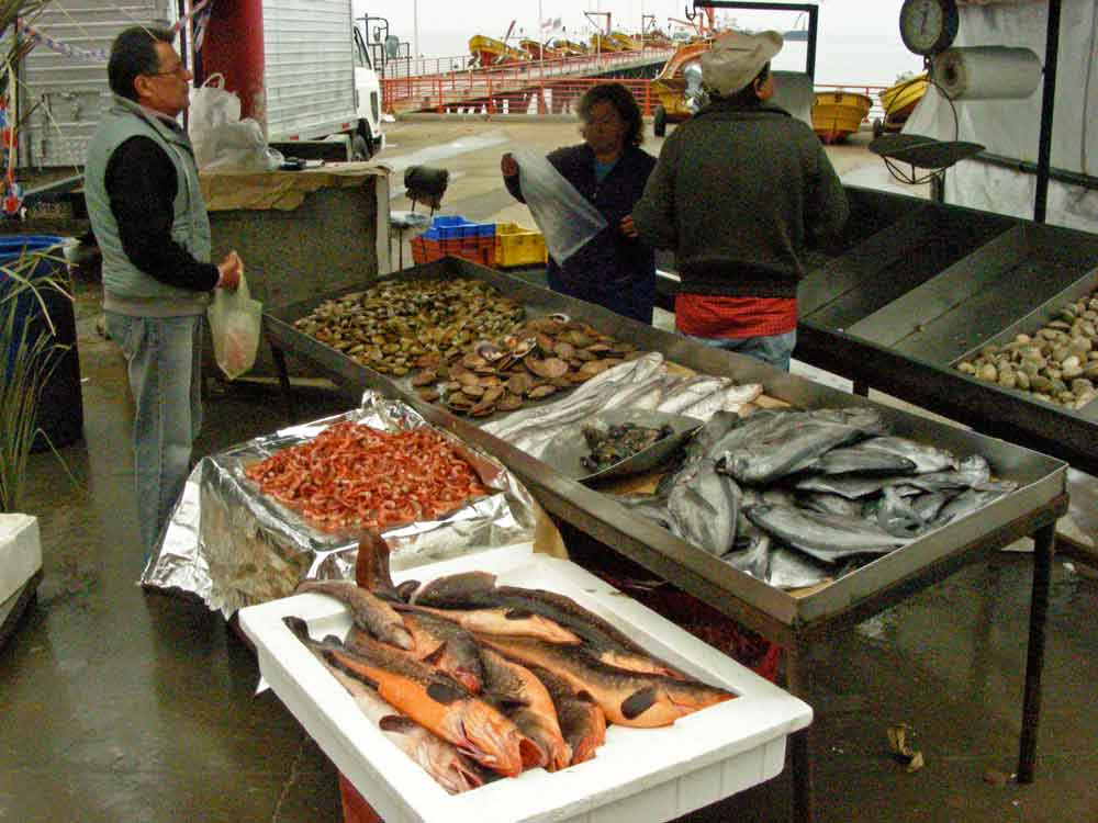 Congríos colorados or red congers, reinetas to the right, prawns (camarones) and clams just behind.