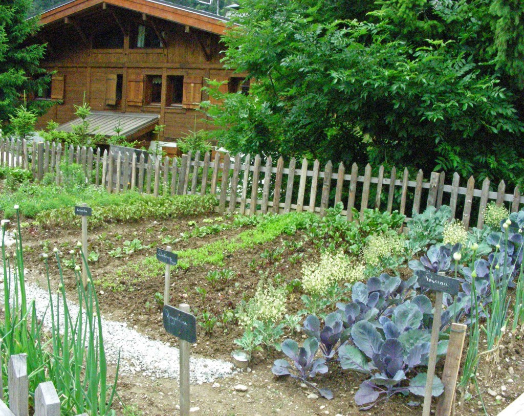 The herb and vegetable garden