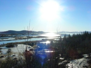 The lakes at Thingvellir